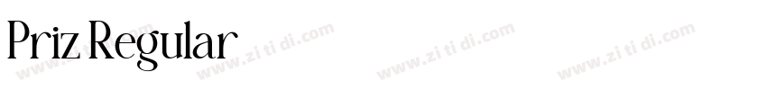 Priz Regular字体转换
